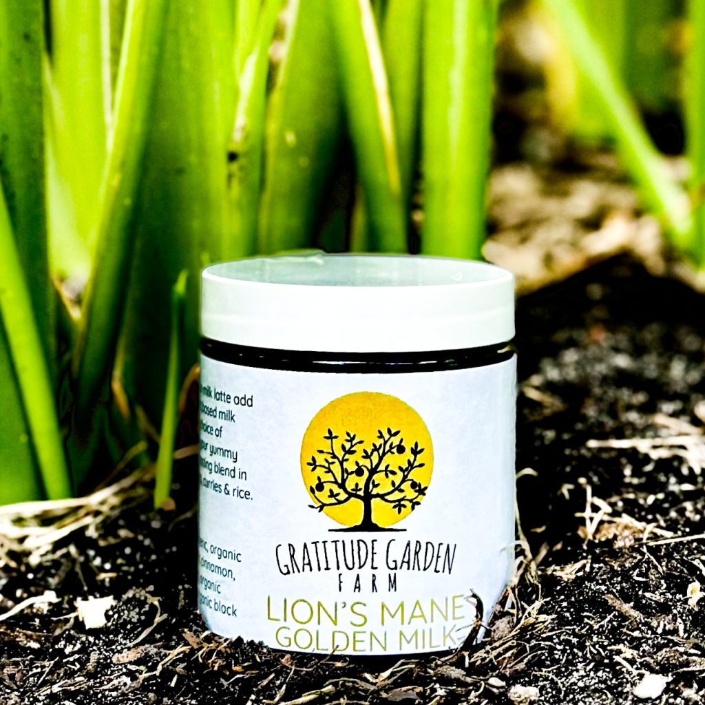 Lion's Mane Golden Milk