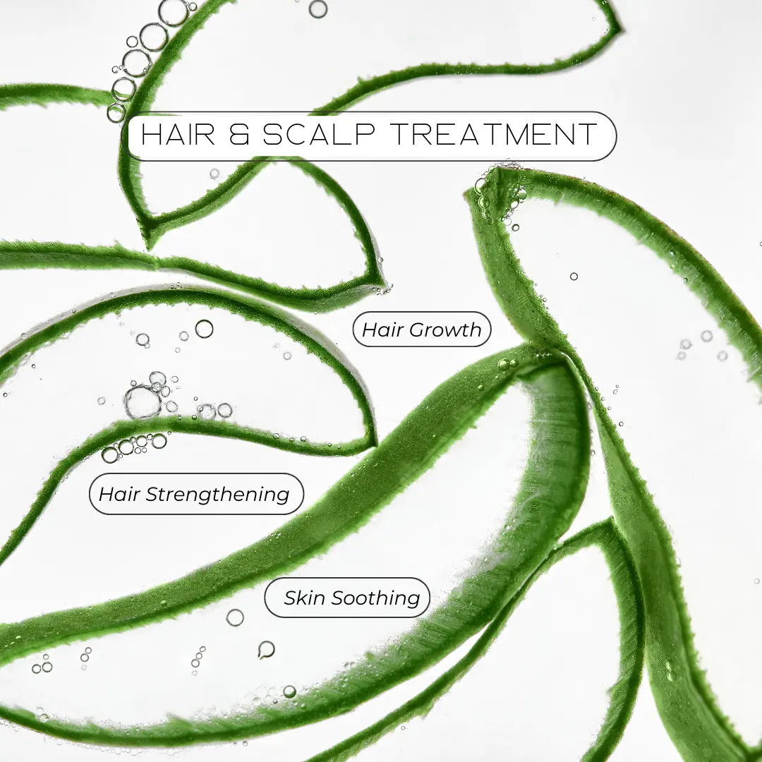 Light-weight Aloe Vera Hair & Body Oil
