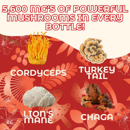 Hongo Mushroom Natural Energy Tea