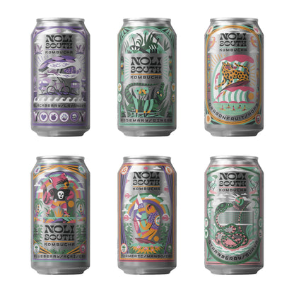 Noli South Kombucha- 12 Pack