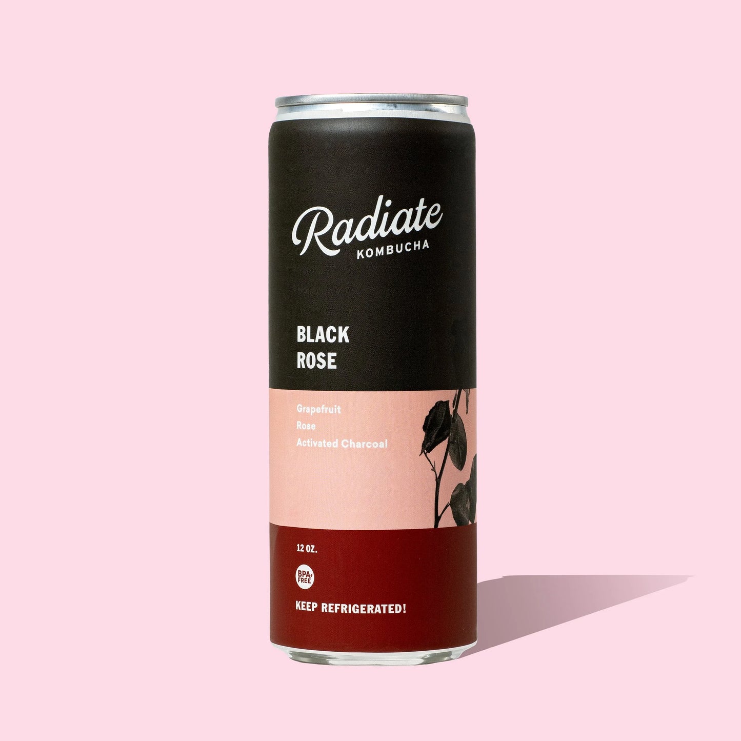 Radiate Kombucha (Miami!)- (12 or 24 pack)