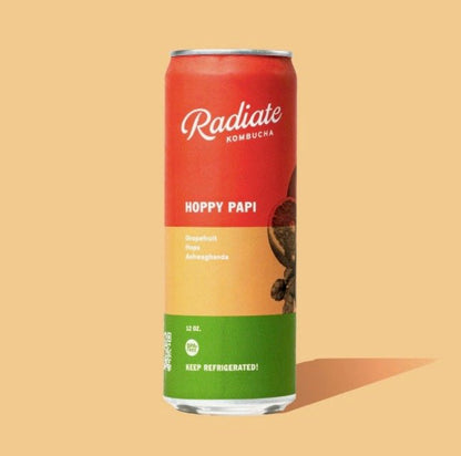 Radiate Kombucha (Miami!)- (12 or 24 pack)