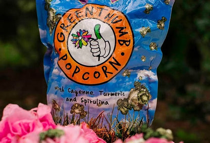 Turmeric & Spirulina Popcorn
