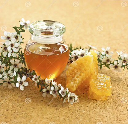 Sun Souls, Soulscreen